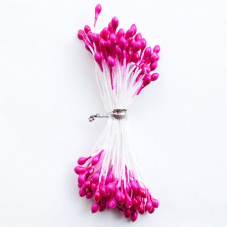 Sodrios rožinės spalvos kuokeliai