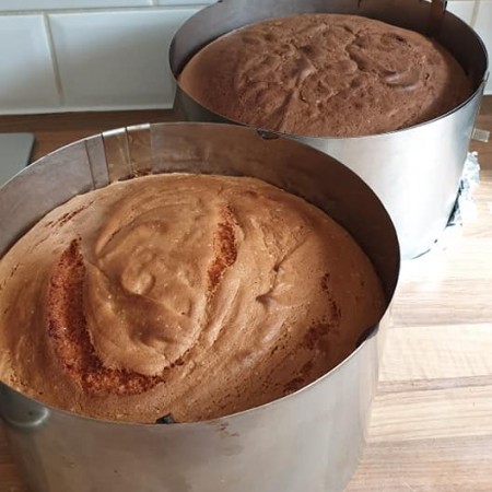 Reguliuojami konditeriniai žiedai, 5 vnt., h 14 cm, NEGRADUOTI