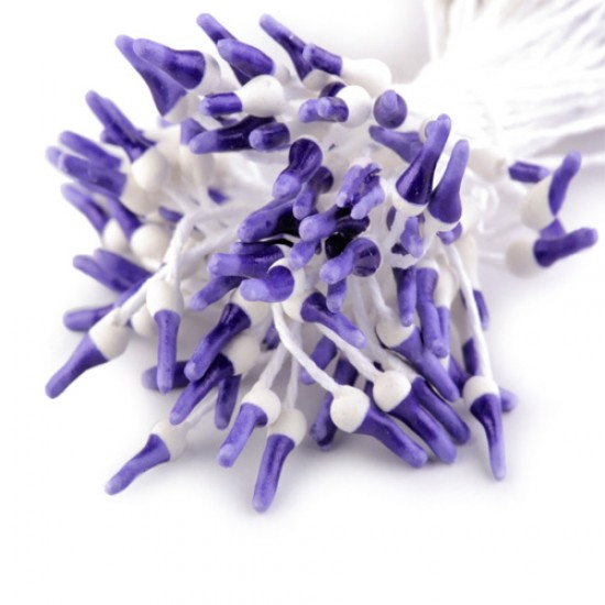 Dvispalviai kuokeliai, 50 vnt.