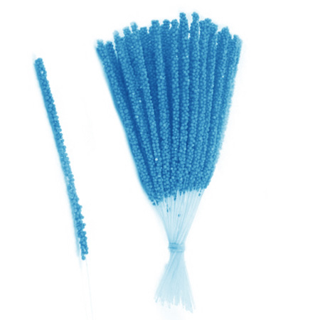 Ilgi mėlyni kuokeliai