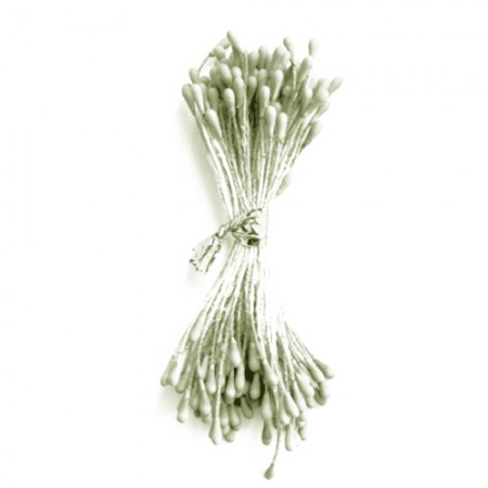 Šviesiai rudi kuokeliai