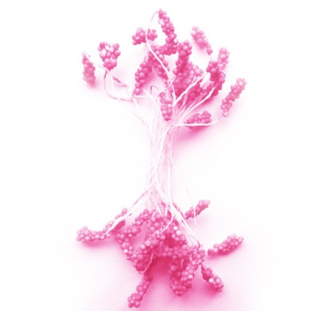 Dvipusiai rožiniai kuokeliai