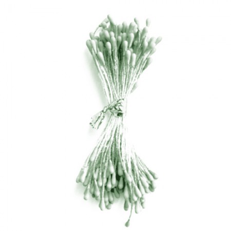 Šviesiai žali kuokeliai