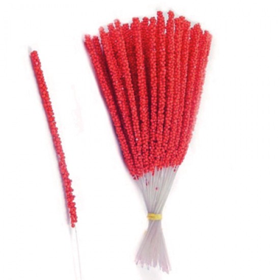 Ilgi bordiniai kuokeliai