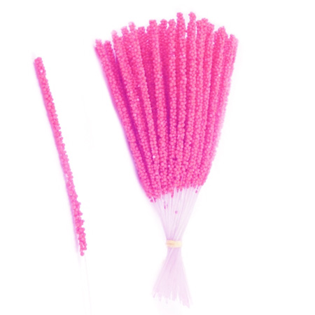 Ilgi rožiniai kuokeliai